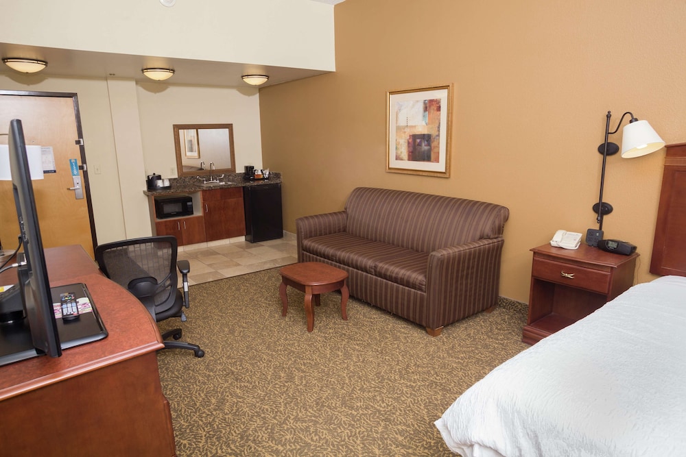 Room, 1 King Bed With Sofa Bed, Non Smoking photo 2