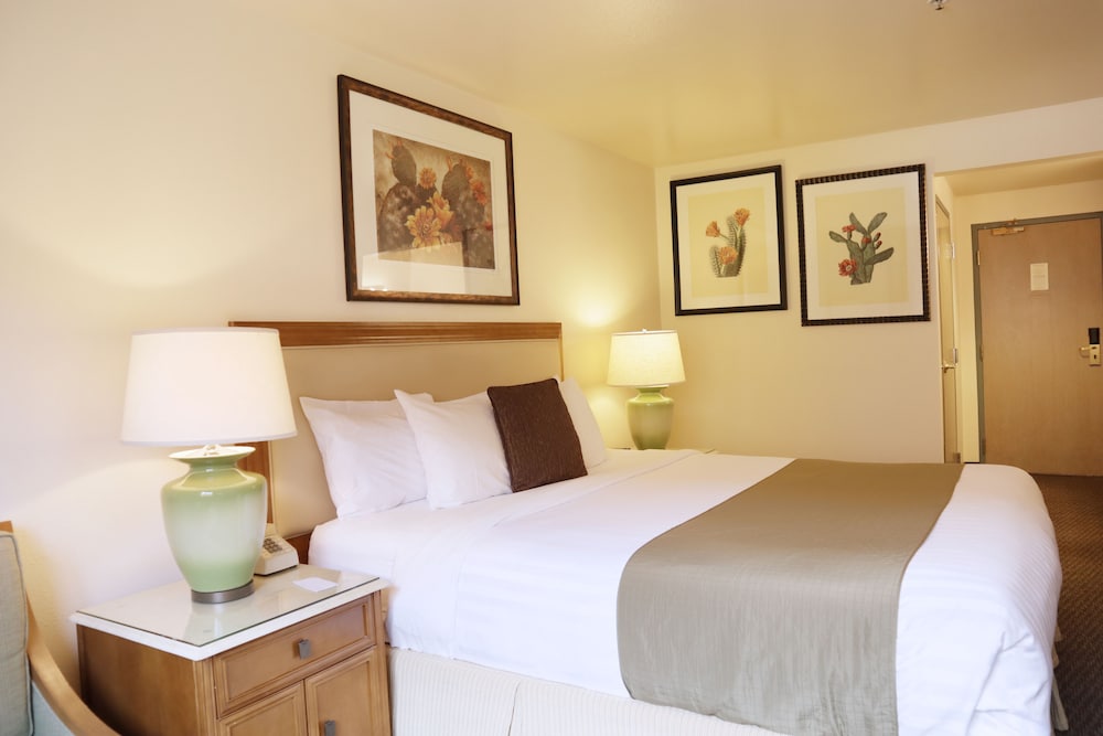Double Room, 2 Double Beds photo 3