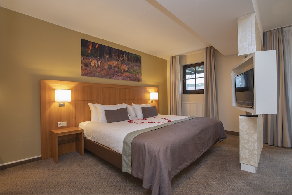 Suite - Photo 2