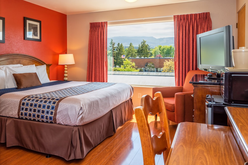 Room, Mountain View (King and Twin bed) photo 1