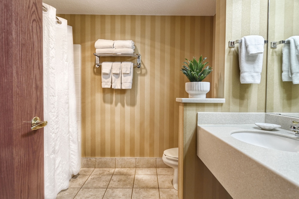 Premier Suite (Queen) - Photo 2