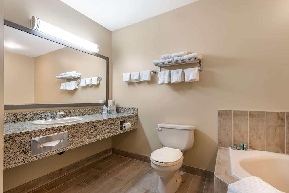 Suite, 1 King Bed, Non Smoking, Jetted Tub (with Sofabed) - Photo 6