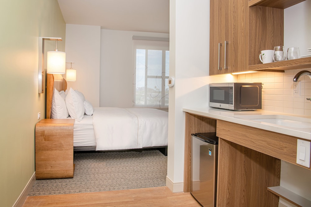 Basic Room, 1 King Bed (Mobility Accessible, Transfer Shower) - Photo 3