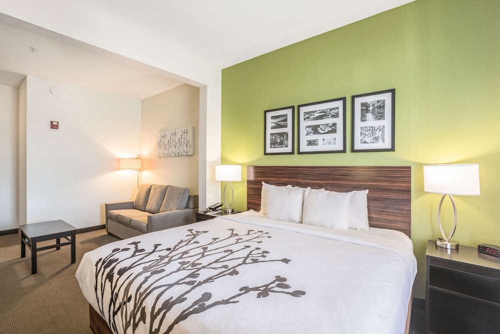 Room, 1 King Bed with Sofa bed, Accessible, Non Smoking photo 1