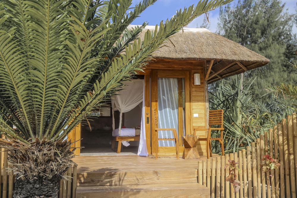 Garden Jungle Double Room photo 3