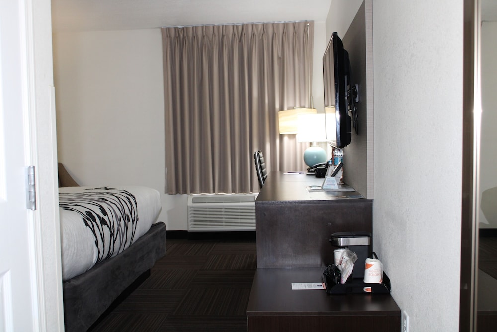 Room, 1 King Bed, Accessible, Non Smoking (Mobility, Roll-in Shower) - Photo 3