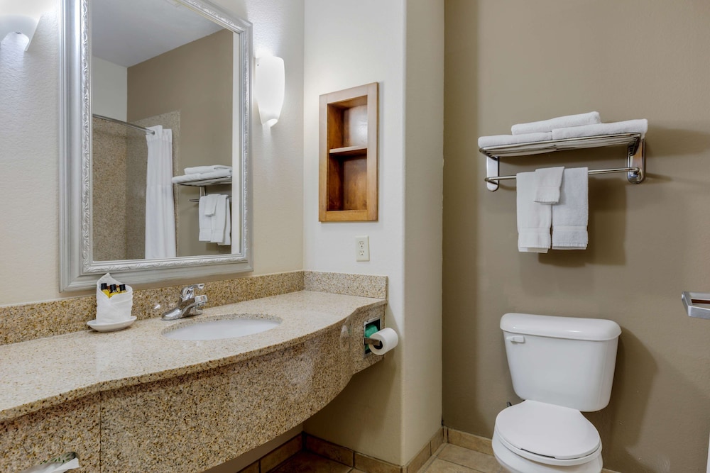Standard Room, 1 King Bed, Non Smoking, Refrigerator & Microwave (Pet Friendly) photo 2