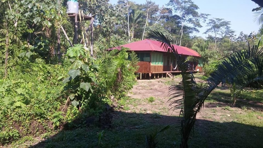 Triple Room, Terrace photo 3