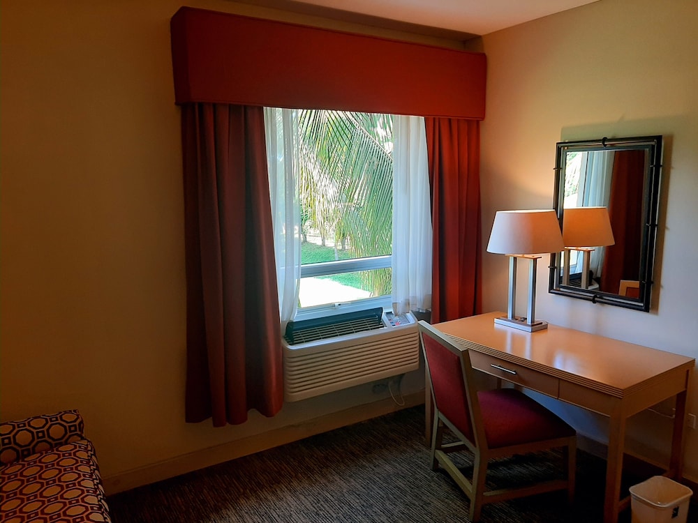Suite, 1 King Bed, Non Smoking - Photo 8