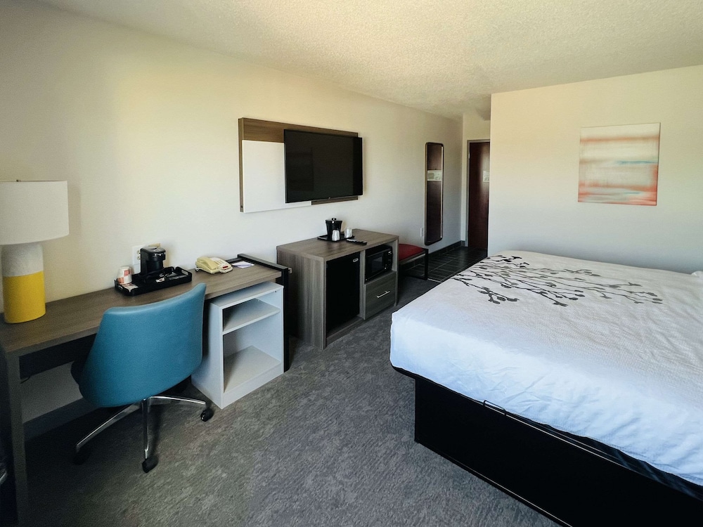 Room, 1 King Bed, Accessible, Non Smoking photo 2