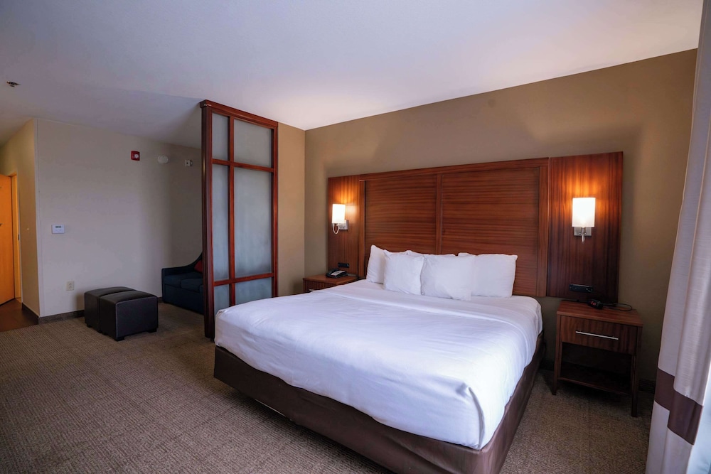 Suite, 1 King Bed with Sofa bed, Accessible, Non Smoking - Photo 2
