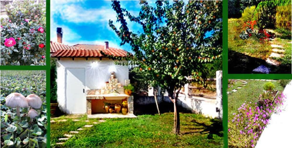 Anastasia Gardens Villa, Billede 5