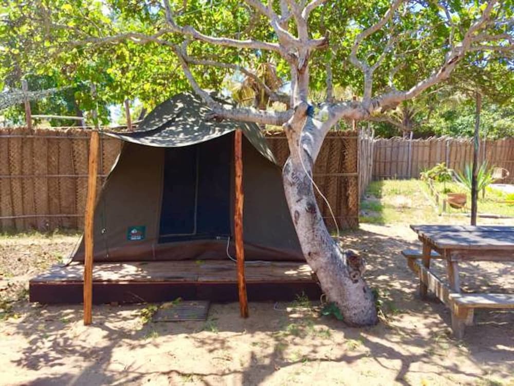 Pre-pitched tent photo 3