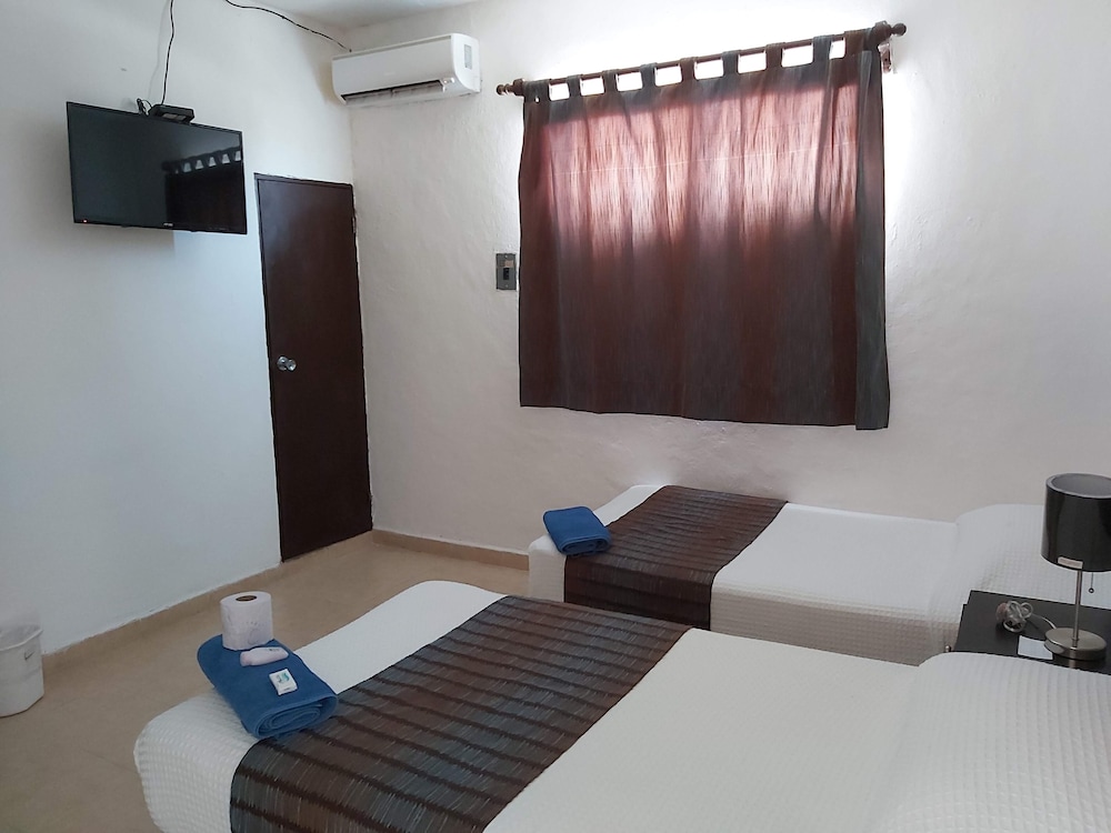 Executive Double Suite photo 1