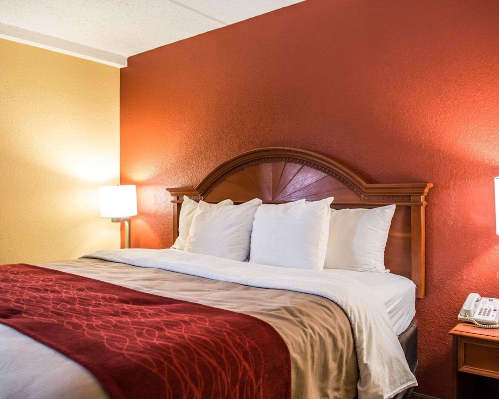 Suite, 1 King Bed, Non Smoking - Photo 1
