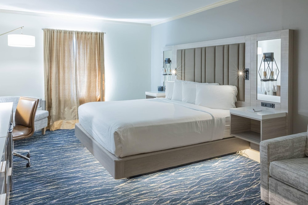 Standard Room, 1 King Bed with Sofa bed, Non Smoking photo 1
