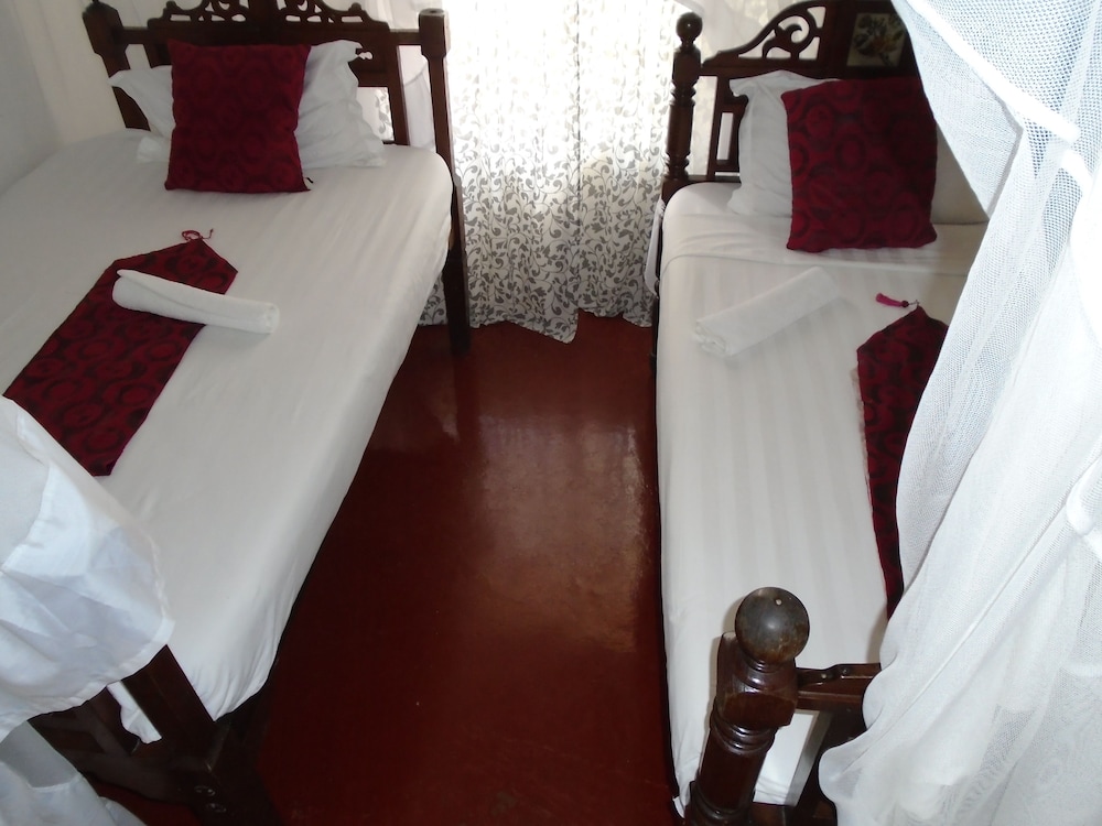 Twin Room photo 2