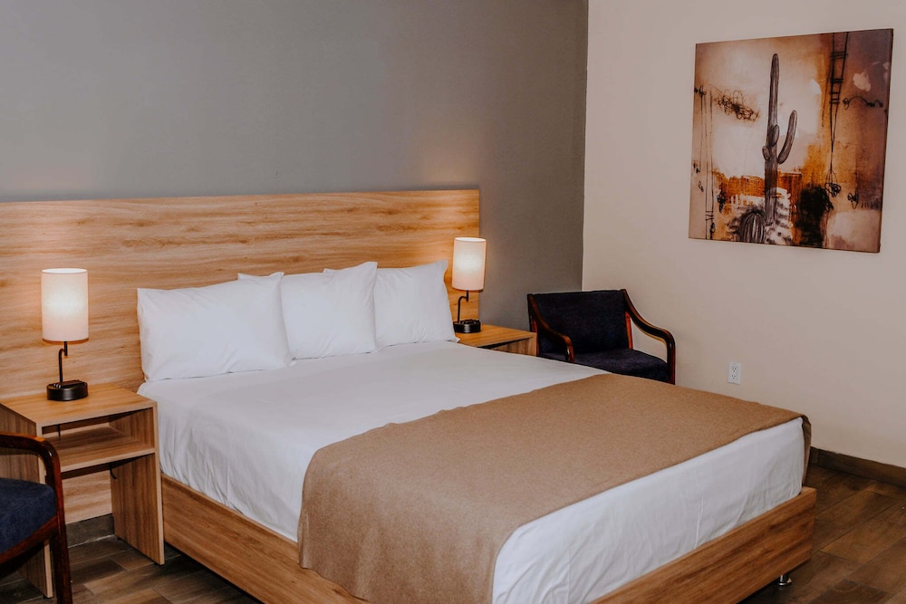 Standard Single Room photo 2