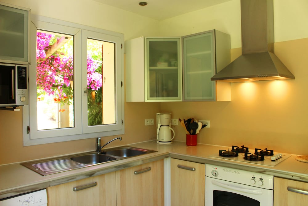 Apartment (Eucalyptus) photo 1