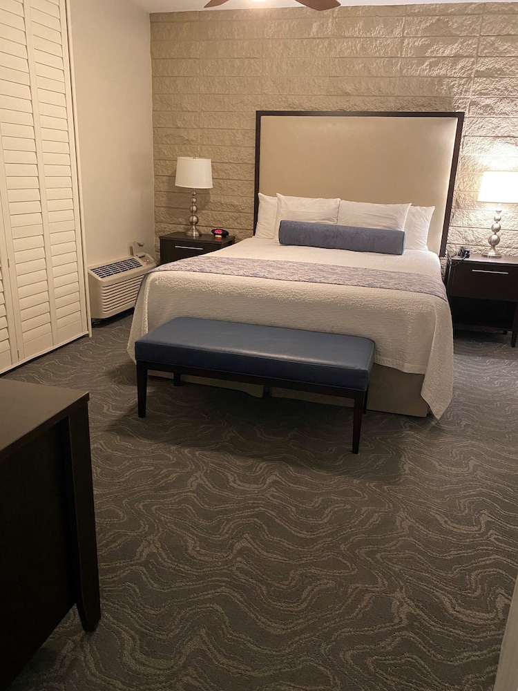 Deluxe Condo, 1 Bedroom photo 3