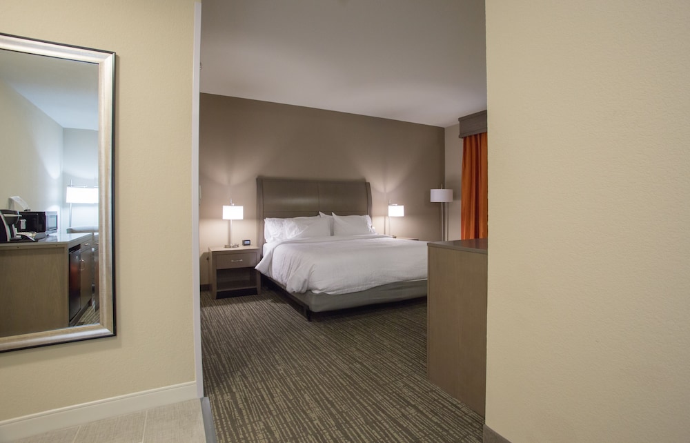Hilton Garden Inn Bolingbrook I-55, 写真 3