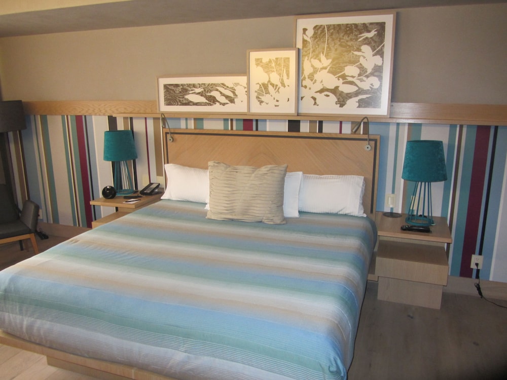 Privilige 1 King bed room - Photo 3