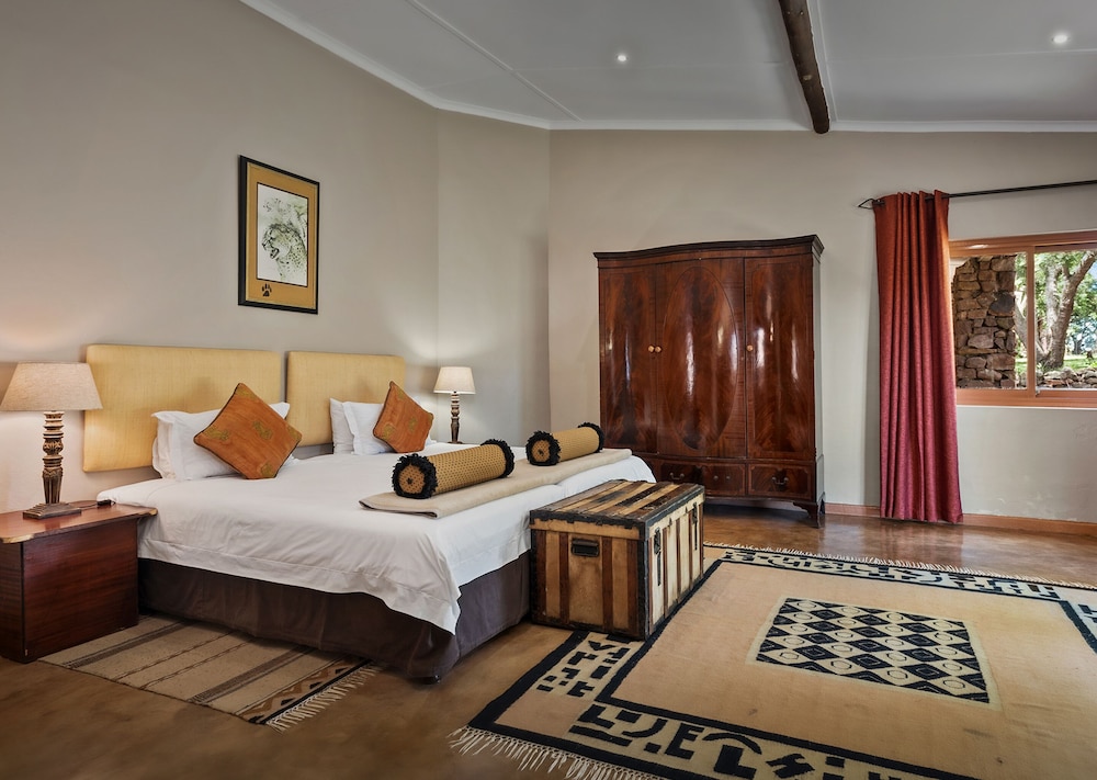 FigTree Room photo 2