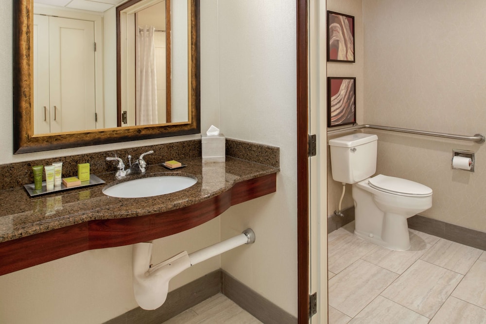 Suite, 1 Bedroom, Accessible - Photo 6