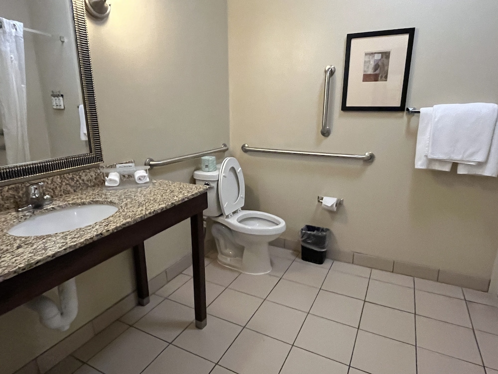 Suite, 1 King Bed, Accessible photo 3