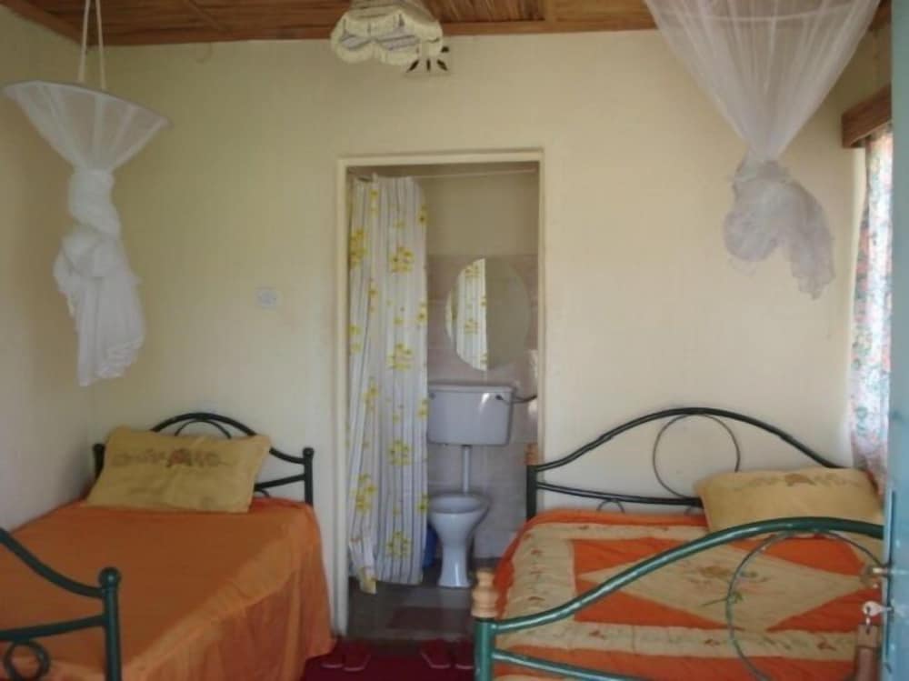 Basic Tent, 2 Twin Beds, Non Smoking photo 1