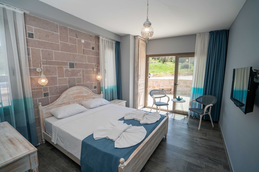 Standard Double Room, Mountain View photo 1