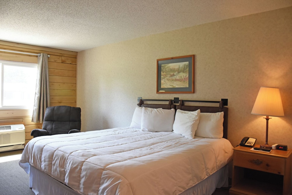 Room, 1 King Bed, Accessible photo 3