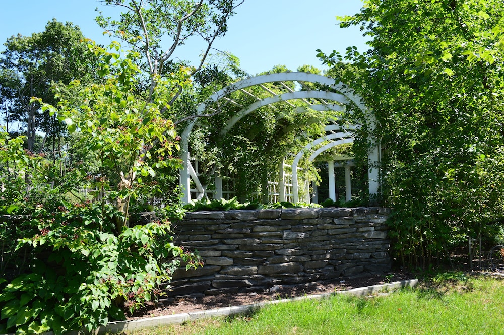The Clifton photo 3
