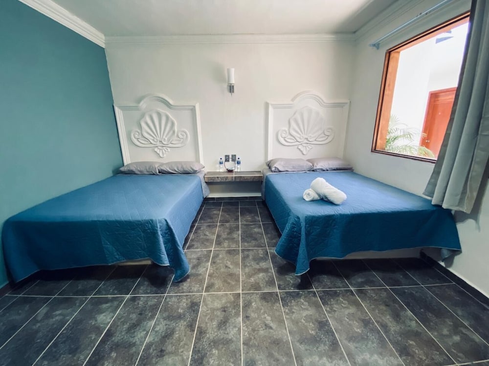 Basic Double Room