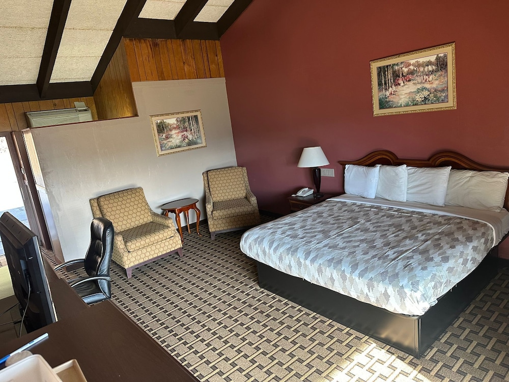 Room, 1 King Bed, Non Smoking - Photo 1