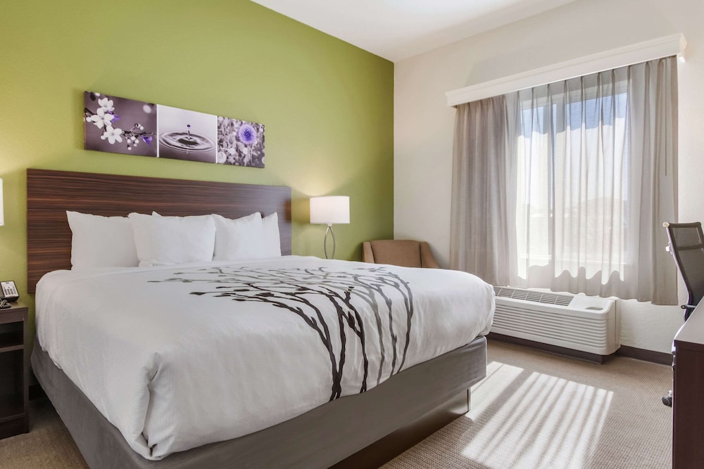 Standard Room, 1 King Bed, Non Smoking - Photo 1