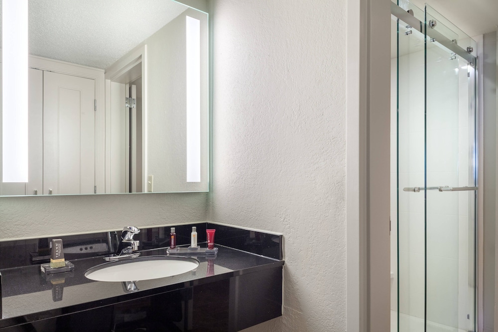 Suite, 1 Bedroom photo 3