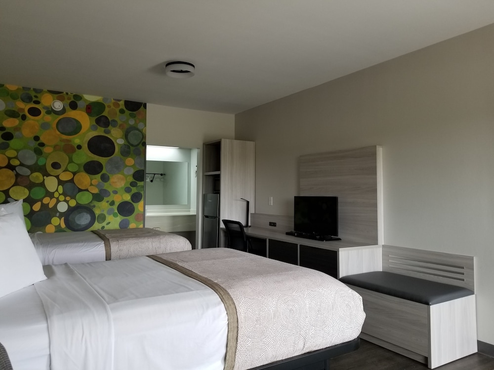 Suite, Multiple Beds, Non Smoking (Efficiency) - Photo 4