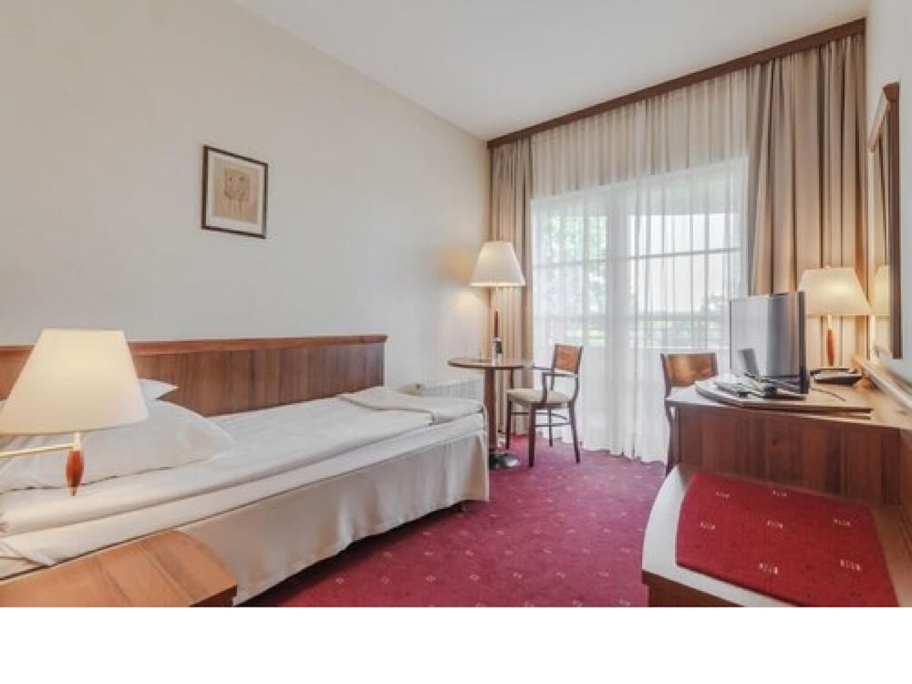 Superior Single Room photo 2