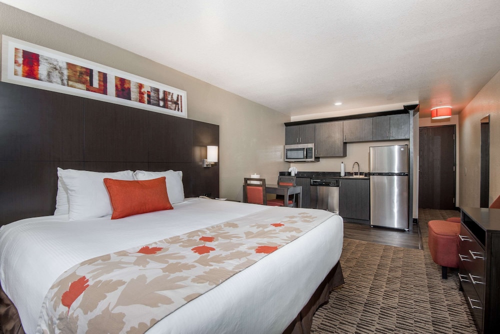 Standard Room, 1 King Bed, Kitchen - Photo 1