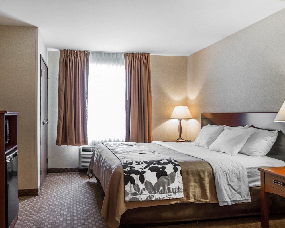 Suite, 1 King Bed, Non Smoking photo 2