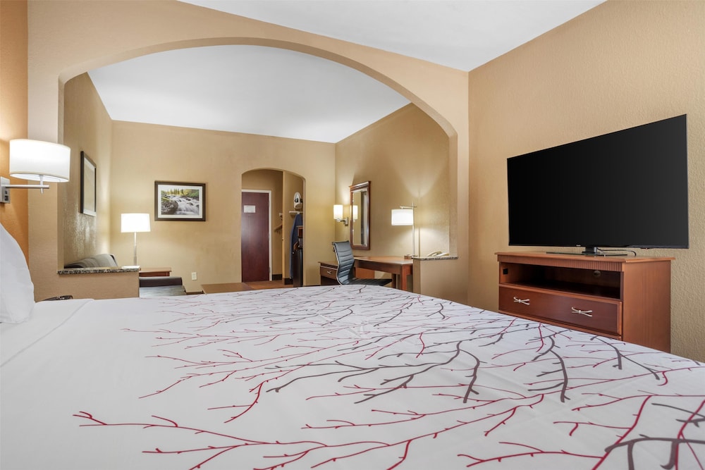 Suite, 1 King Bed, Non Smoking, Refrigerator & Microwave photo 3