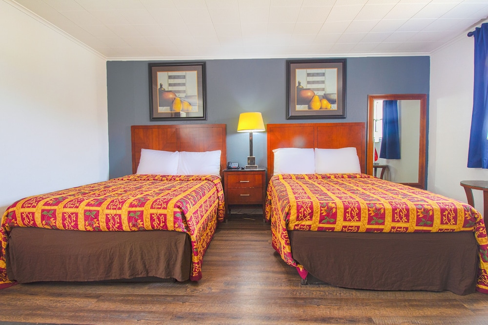 Room, Multiple Beds