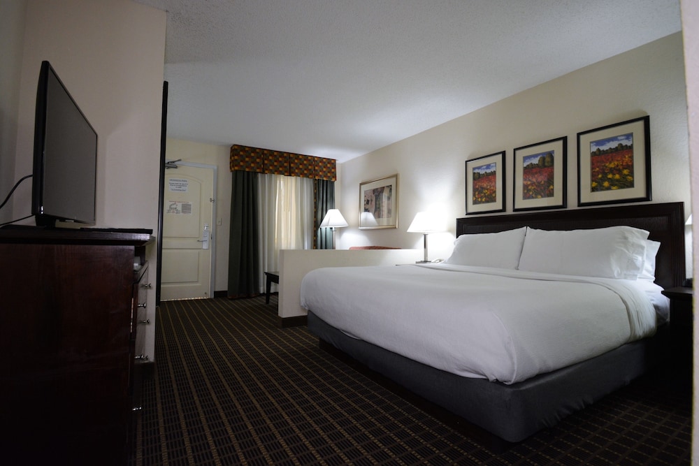 Suite, 1 King Bed - Photo 1