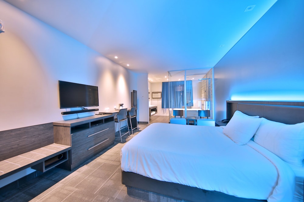 Suite, 1 Queen Bed photo 3