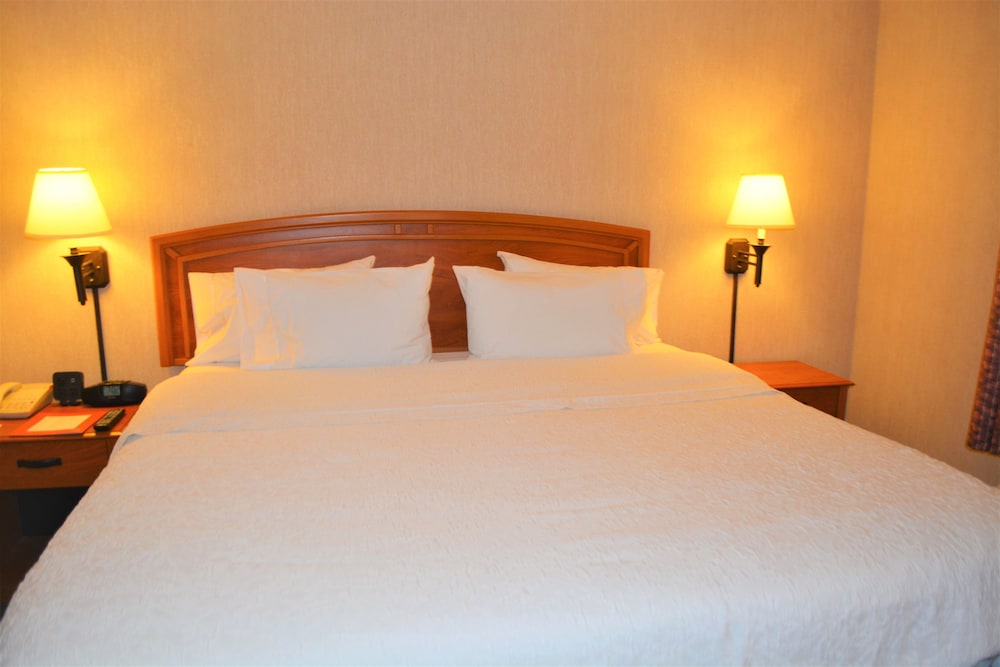 Deluxe Room, 1 King Bed, Non Smoking - Photo 10