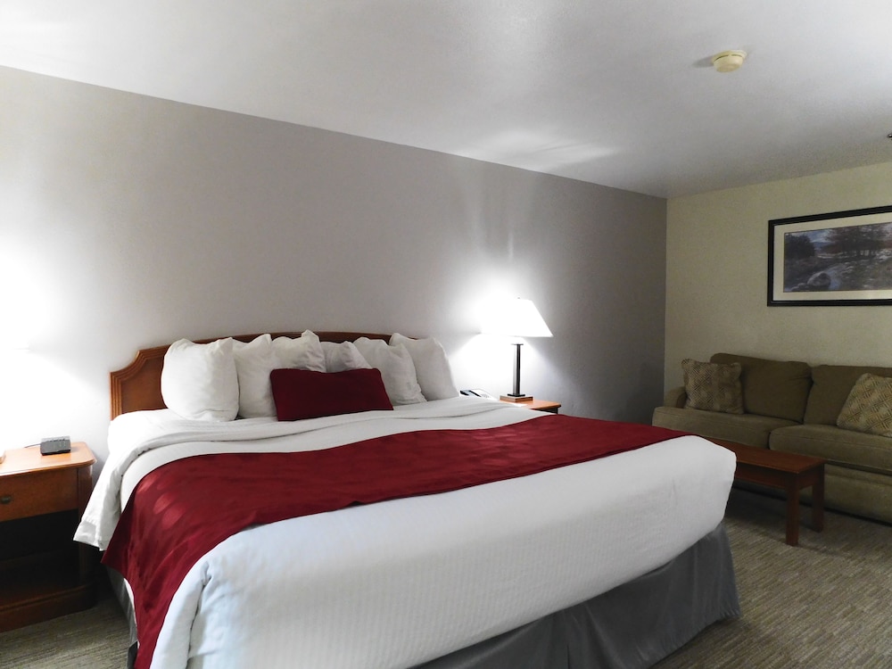 Deluxe Room, 1 King Bed with Sofa bed, Non Smoking photo 1
