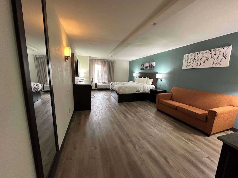 Suite, 1 King Bed, Non Smoking - Photo 6
