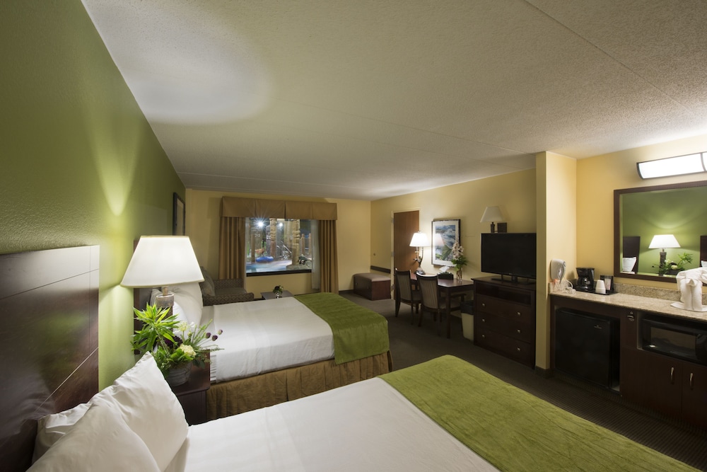 Studio - Waterpark Passes Not Included And Subject To Availability photo 1