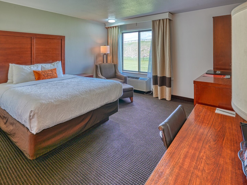 Standard Single Room - Photo 4